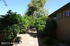 405 E Lynx Way, Chandler, AZ 85249 photo 45