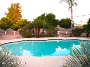 4715 E Halifax St, Mesa, AZ 85205 photo 43
