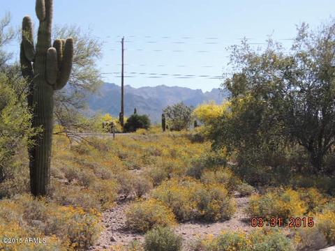 2734 E 2nd Ave #-, Apache Junction, AZ 85119 photo 4