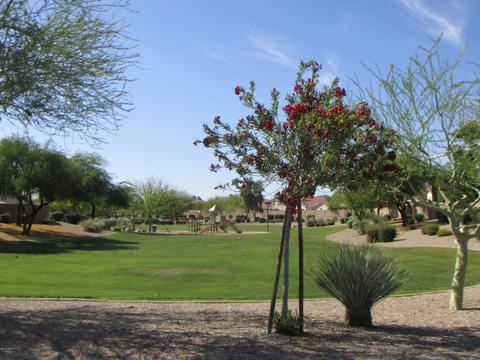983 E Saratoga St, Gilbert, AZ 85296 photo 42