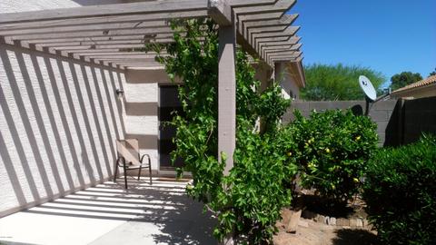 983 E Saratoga St, Gilbert, AZ 85296 photo 34
