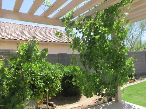 983 E Saratoga St, Gilbert, AZ 85296 photo 6