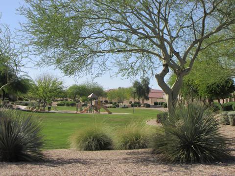 983 E Saratoga St, Gilbert, AZ 85296 photo 38