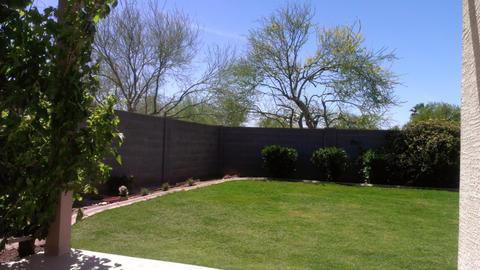 983 E Saratoga St, Gilbert, AZ 85296 photo 35