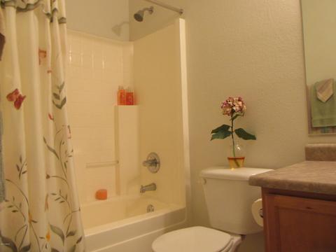 983 E Saratoga St, Gilbert, AZ 85296 photo 21