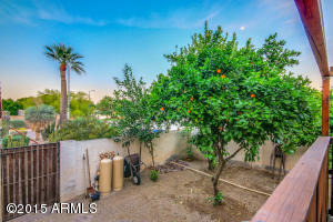 2641 E Nance St, Mesa, AZ 85213 photo 46