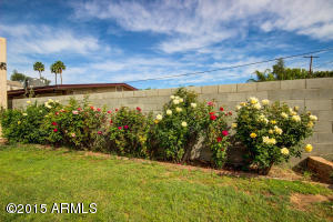 5239 N 8th Pl, Phoenix, AZ 85014 photo 48