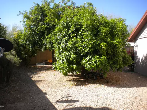 3015 E Pershing Ave, Phoenix, AZ 85032 photo 37
