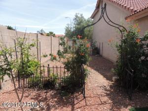 4254 E Mountain Sage Dr, Phoenix, AZ 85044 photo 23