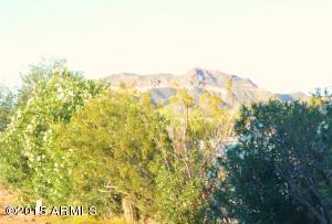 10120 E Mclellan Rd, Mesa, AZ 85207 photo 13