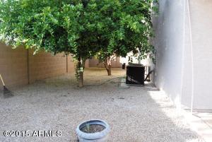243 E Joseph Way, Gilbert, AZ 85295 photo 41