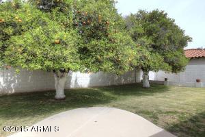 1910 E Hackamore St, Mesa, AZ 85203 photo 40