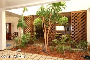 1910 E Hackamore St, Mesa, AZ 85203 photo 9