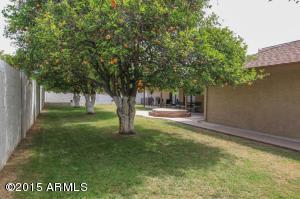 1910 E Hackamore St, Mesa, AZ 85203 photo 38