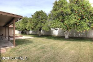 1910 E Hackamore St, Mesa, AZ 85203 photo 37