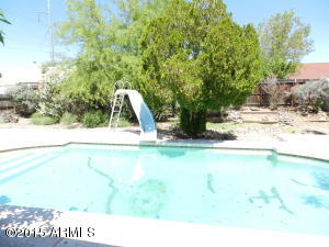 1208 E Topeka Dr, Phoenix, AZ 85024 photo 13