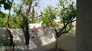 4630 Euclid Ave, Phoenix, AZ 85044 photo 30