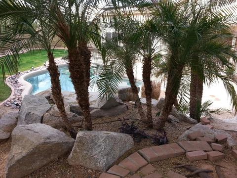 4021 E Renee Dr, Phoenix, AZ 85050 photo 25