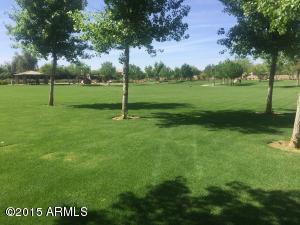1069 E Rojo Way, Gilbert, AZ 85297 photo 34