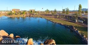 3931 E Cassia Ln, Gilbert, AZ 85298 photo 17