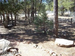 1900 Chevelon Rd, Overgaard, AZ 85933 photo 28