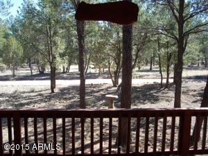 1900 Chevelon Rd, Overgaard, AZ 85933 photo 5