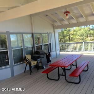 3623 Chevera Cir, Overgaard, AZ 85933 photo 9
