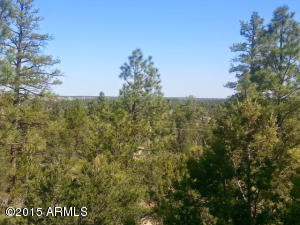 3623 Chevera Cir, Overgaard, AZ 85933 photo 2