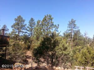 3623 Chevera Cir, Overgaard, AZ 85933 photo 14