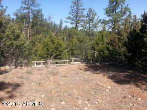 3623 Chevera Cir, Overgaard, AZ 85933 photo 15