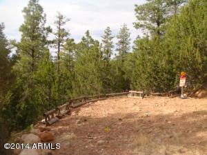 3623 Chevera Cir, Overgaard, AZ 85933 photo 8