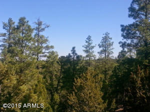 3623 Chevera Cir, Overgaard, AZ 85933 photo 11