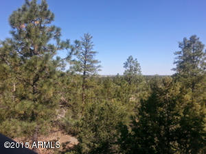 3623 Chevera Cir, Overgaard, AZ 85933 photo 12