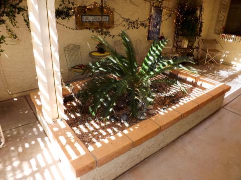 1097 E Chilton Dr, Tempe, AZ 85283 photo 32
