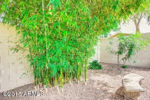 4575 E Desperado Rd, Gilbert, AZ 85297 photo 68