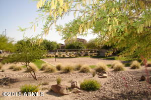 1537 E Goldcrest St, Gilbert, AZ 85297 photo 26