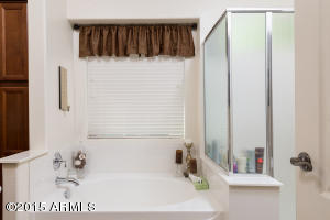 2817 E Park View Ln, Phoenix, AZ 85024 photo 14