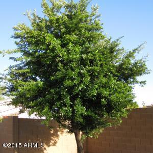 2311 W Carson Rd, Phoenix, AZ 85041 photo 16