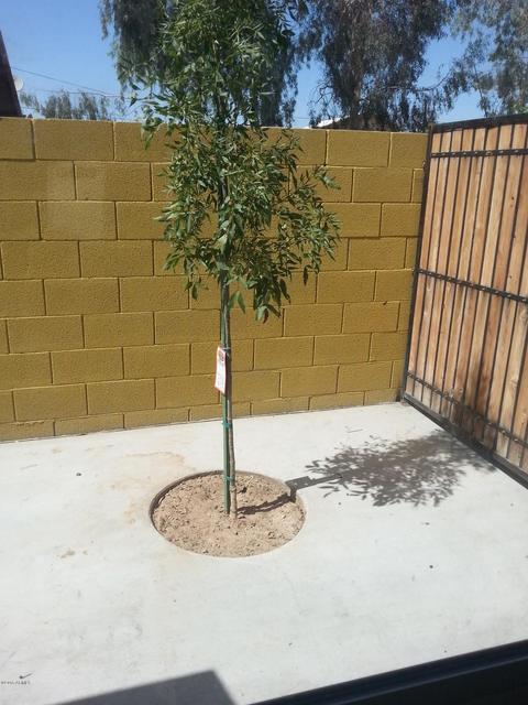 1410 E Polk St, Phoenix, AZ 85006 photo 12