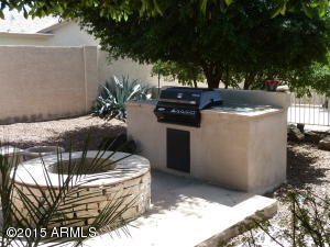 8102 Ensenada St, Mesa, AZ 85207 photo 32