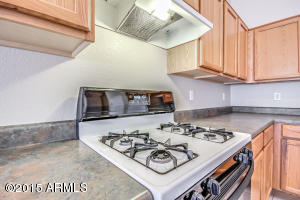 1456 E Galveston St, Gilbert, AZ 85295 photo 20