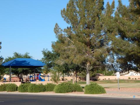 2161 E Saratoga St, Gilbert, AZ 85296 photo 28