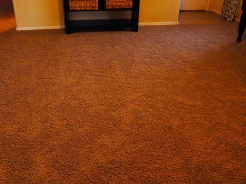 2161 E Saratoga St, Gilbert, AZ 85296 photo 24