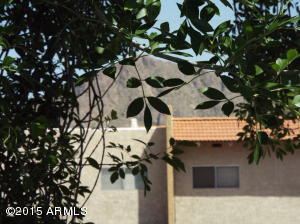 5525 E Thomas Road Apt F 21 Rd #F 21, Phoenix, AZ 85018 photo 34