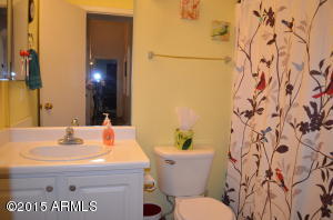 2454 E Orchid Ln, Gilbert, AZ 85296 photo 11