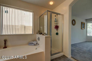 1728 E Beautiful Ln, Phoenix, AZ 85042 photo 21