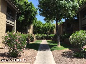 3825 E Camelback Rd #260, Phoenix, AZ 85018 photo 16