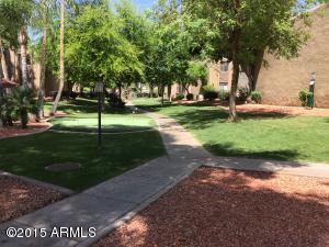 3825 E Camelback Rd #260, Phoenix, AZ 85018 photo 18