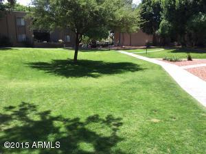 3825 E Camelback Rd #260, Phoenix, AZ 85018 photo 17