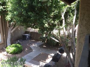 3825 E Camelback Rd #260, Phoenix, AZ 85018 photo 15